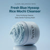 Puhastusvahend savi ja iisopi ekstraktiga Arencia Fresh Blue Hyssop Rice Mochi Cleanser