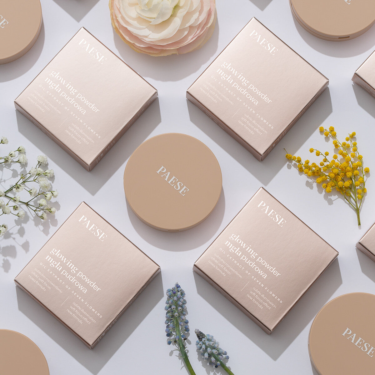 Пудра Paese Glowing Powder