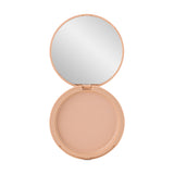 Пудра Paese Glowing Powder