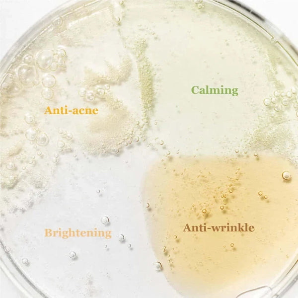 Serumu mini iepakojumu komplekts Beauty Of Joseon Hanbang Serum Discovery Kit