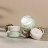 Освежающий дневной крем с фитоколлагеном MIZON Phyto Plump Collagen Day Cream