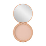 Пудра Paese Glowing Powder