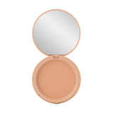 Пудра Paese Glowing Powder