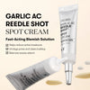 Точечный крем VT Cosmetics Garlic AC Reedle Shot Spot Cream